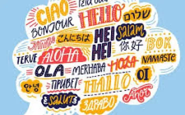 Quiz Traduction