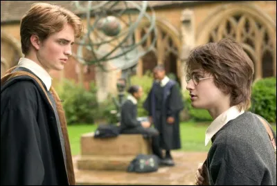 Brrrr ... Quel rêve étrange dans lequel Harry voit un vieux monsieur qui s'occupe de la maison des Jedusor ! Mais, quel est son prénom ?