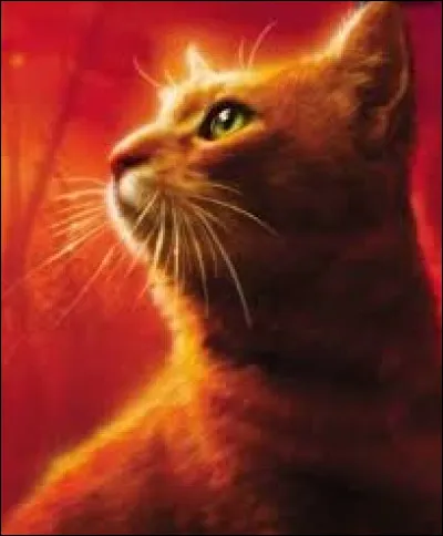 Quel est le nom de chat domestique d'Étoile du Feu ?