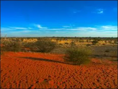 Dans quelle partie de la planète se situe le désert du Kalahari ?
