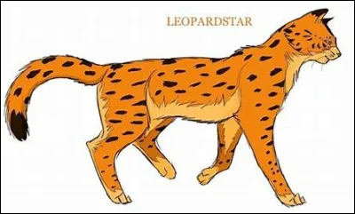 Etoile Bleue, Etoile de Feu, Etoile Balafrée, Etoile de Jais, Etoile Filante, Etoile de Léopard... Ils ont un point commun. Lequel ?