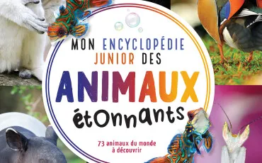 Quiz Animaux