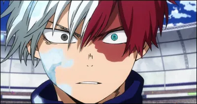 Attention spoiler pour certaines questions.
Shoto est un :