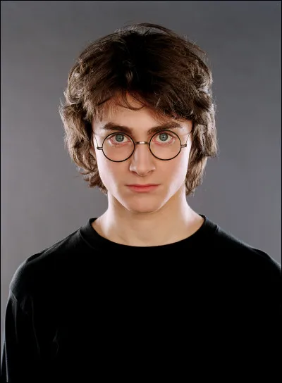 Qui est le meilleur ami de Harry Potter ?