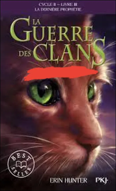 On va faire simple, comment s'appelle celui-ci ?
