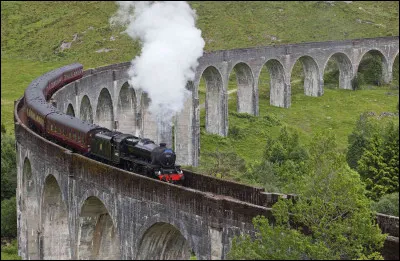 Le matin est brumeux, tu serres la lettre dans ta main, celle que tu as relue au moins cinquante fois. Tu es en route vers la voie 9 3/4, ton cur battant à chaque pas.
Sur le quai, la vapeur du train se mêle aux rires denfants et aux adieux précipités. Tu montes dans un compartiment, un élève, déjà installé, te lance un regard rapide. Il semble concentré sur un vieux grimoire usé. Que fais-tu ?