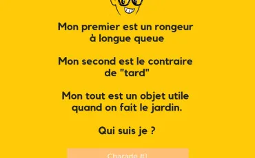 Quiz Loisirs