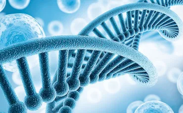 Quiz Sciences