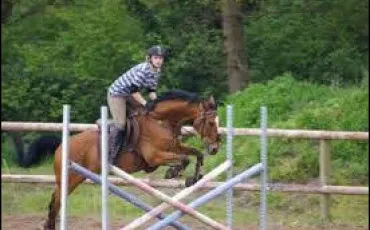 Quiz Equitation