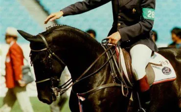 Quiz Chevaux