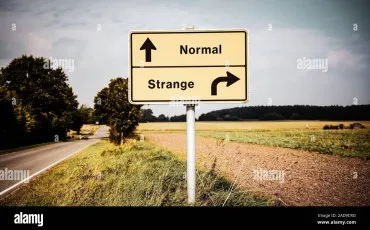 Quiz Test de personnalit