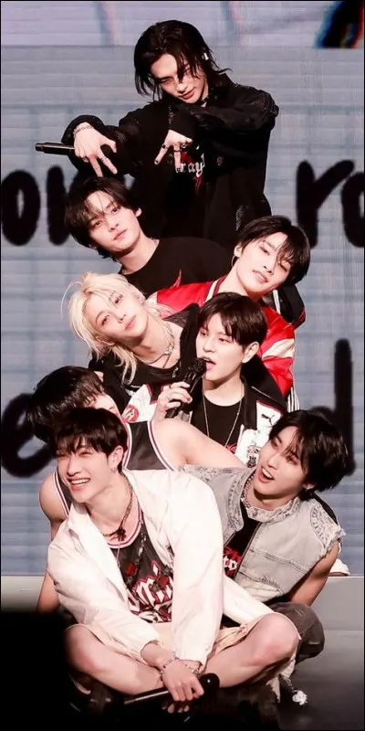 Pour commencer, es-tu fan de Stray Kids ?