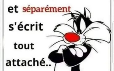 Quiz Humoristes