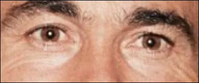 À quelle chanson vous font penser ces yeux-là ?