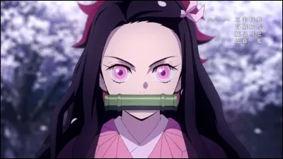 De quel manga vient ce personnage ?