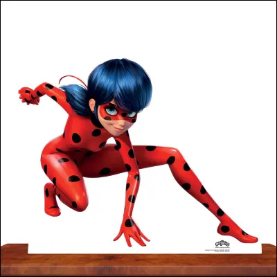 Personne ne sait qui est Ladybug.