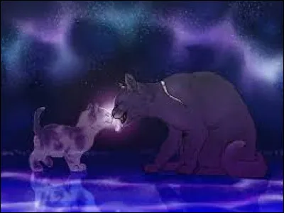 Alors, tu es un chaton. Tu te nommes Petit Éclair, tu vas bientôt devenir apprenti. Qui voudrais-tu comme mentor ?
