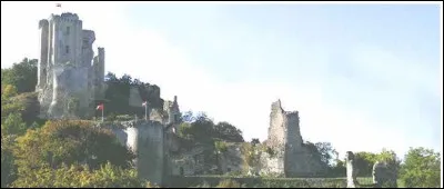 Quel cours d'eau, sortant au lavoir de Saint-Éman, département 28, le château du Lavardin domine-t-il ?
C'est une image de petit mammifère détournée qui donne la réponse !