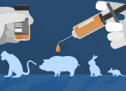 Quiz Autour de lexprimentation animale pour cette journe mondiale des animaux dans les laboratoires