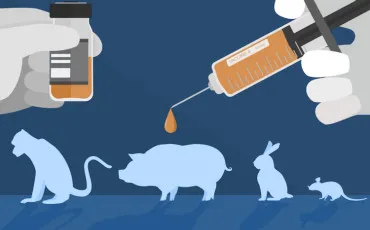 Quiz Animaux
