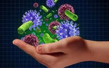Quiz Sciences