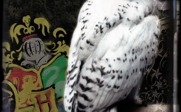 Quiz Animaux