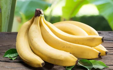 Quiz Fruits