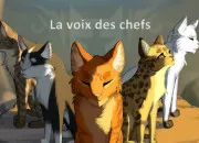 Test Quel chef serais-tu dans ''La Guerre des clans'' ?