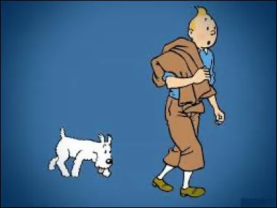Dans quel pays Tintin et Milou se rendent-ils au début de l'album ?