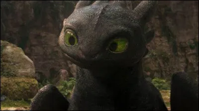 Quel est le nom du dragon principal ?