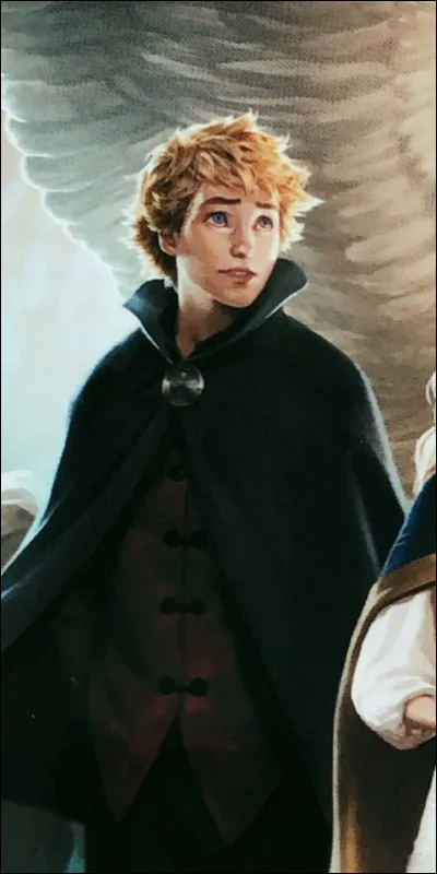 Qui est amoureux de Sophie ?