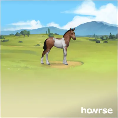 C'est une licorne...