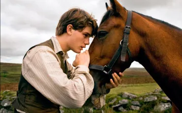 Quiz Chevaux