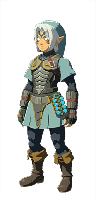 Quelle est cette tenue ?