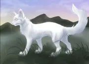 Quiz LGDC Connais-tu bien Aile Blanche ?