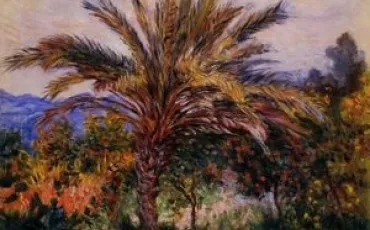 Quiz Arbres