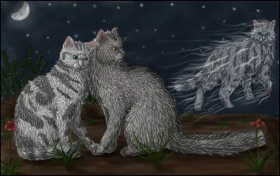 Quels sont les deux chats qui viennent voir les clans dans ''Exil'' ?
