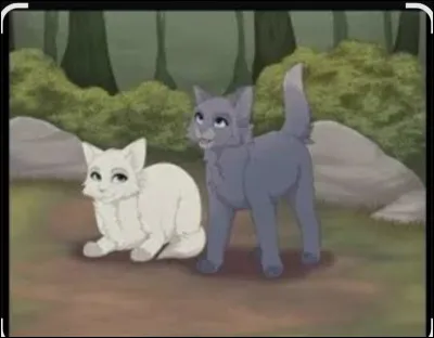 Quel est le nom de chaton d'Étoile Bleue ?