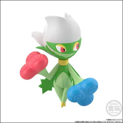Quel est ce Pokémon ?