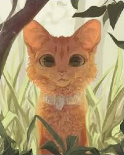 Quel était son nom de chat domestique ?