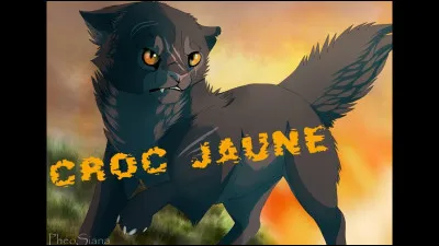 Ils sont dans le cycle 1 :