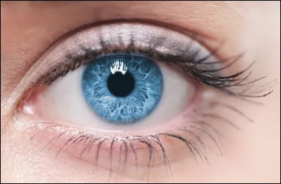 Que signifie ''Avoir les yeux plus gros que le ventre'' ?