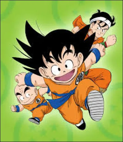 Combien y a-t-il de boules dans Dragon Ball ?