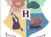 Quiz L'univers de ''Harry Potter''