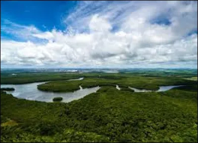 Quel est le plus long fleuve d'Amérique latine ?