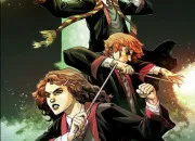 Quiz ''Harry Potter'' : vrai ou faux (livres)