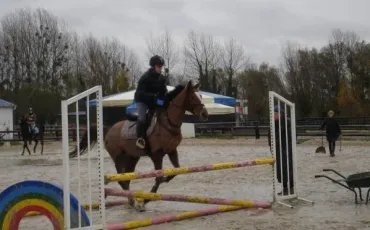 Quiz Galop 4