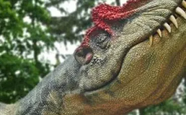 Quiz Dinosaures