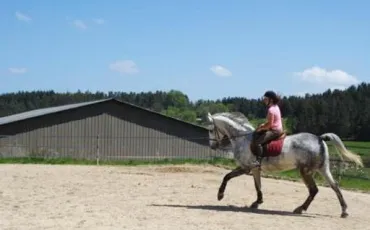 Quiz Galop 4