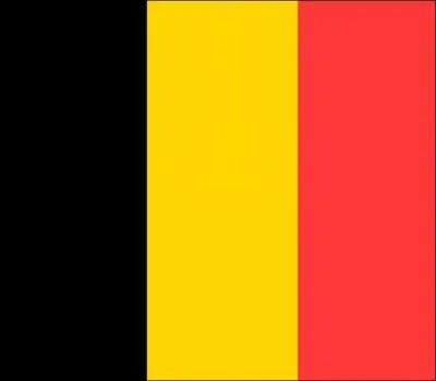  quel pays appartient ce drapeau ?